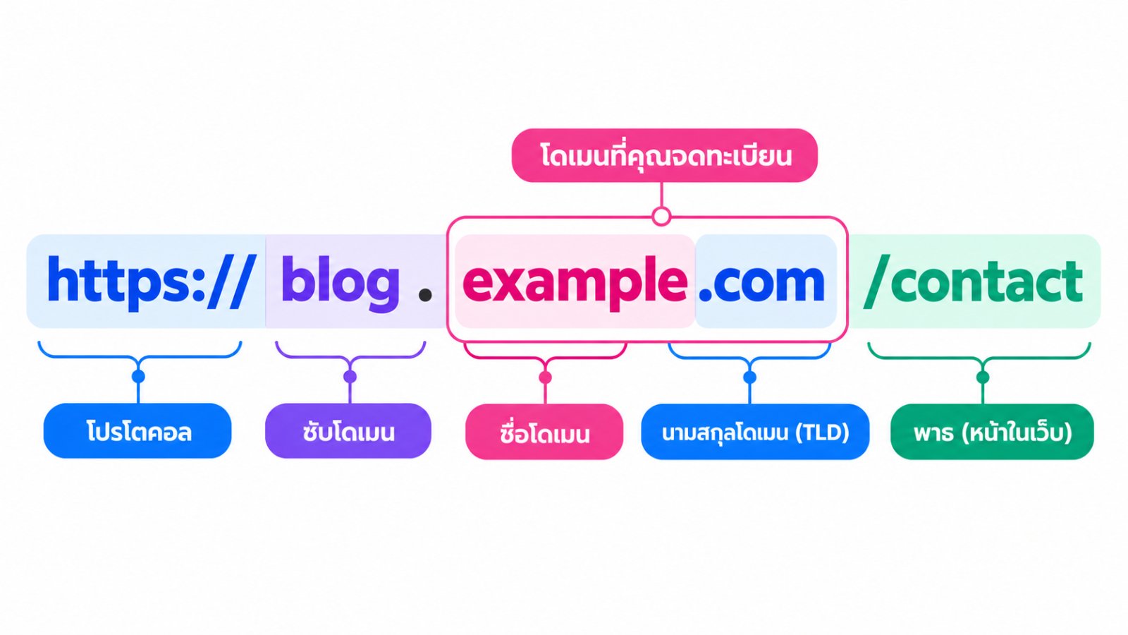 แผนภาพแยกส่วนของ URL https://blog.example.com/contact แสดงโปรโตคอล ซับโดเมน ชื่อโดเมน นามสกุลโดเมน และพาธ